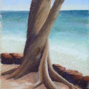Ironwood by the Sea