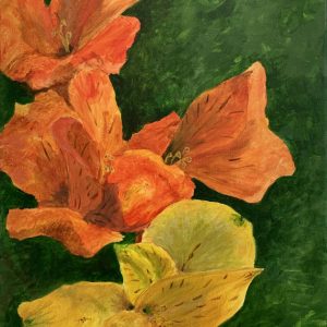 Peruvian Lilies