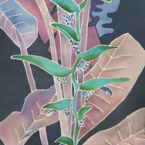 Heliconia Dream II