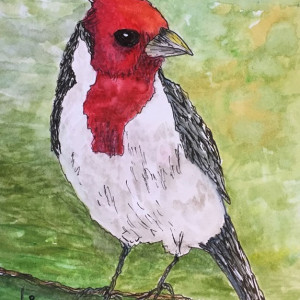 A Cardinal for Ellen