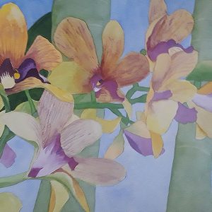 Orchids