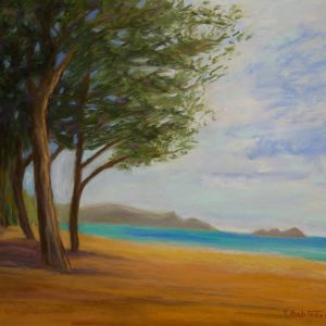 View from Waimanalo Beach