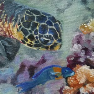 Lunch with a Friend: Honu and Saddle Wrasse